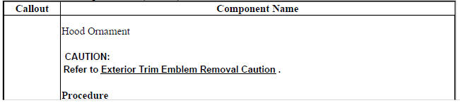 Hood Ornament Replacement (Encore)